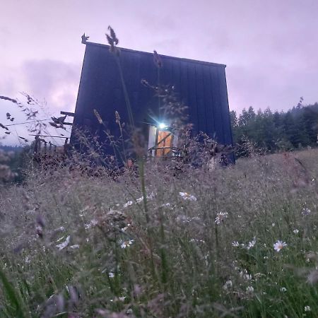 Oak House Daire Palyanytsya Dış mekan fotoğraf
