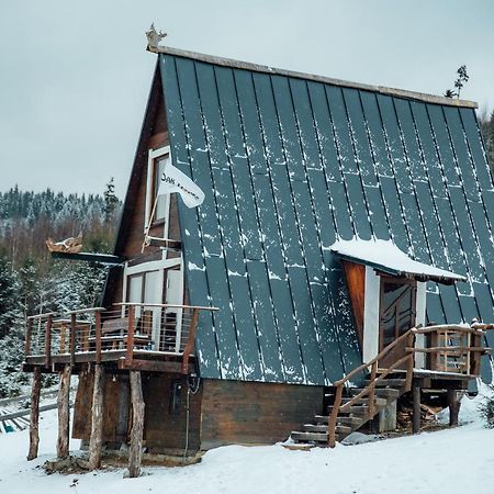 Oak House Daire Palyanytsya Dış mekan fotoğraf