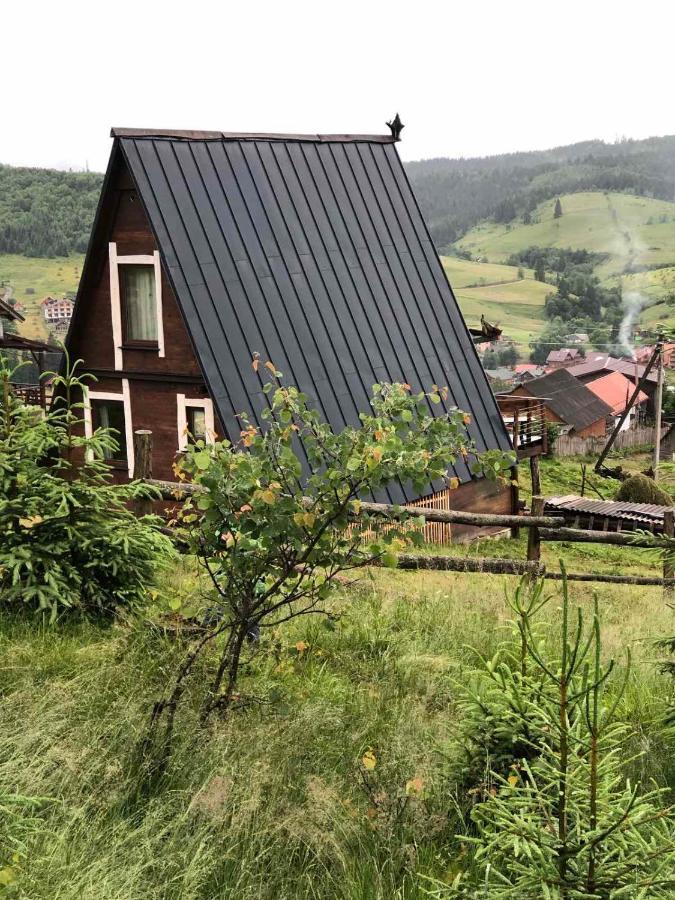 Oak House Daire Palyanytsya Dış mekan fotoğraf