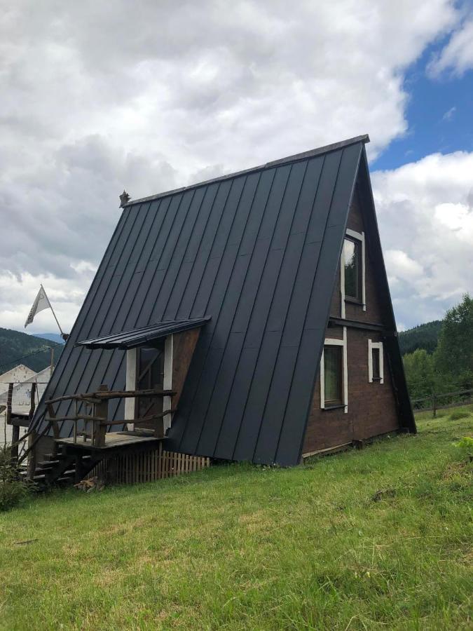 Oak House Daire Palyanytsya Dış mekan fotoğraf