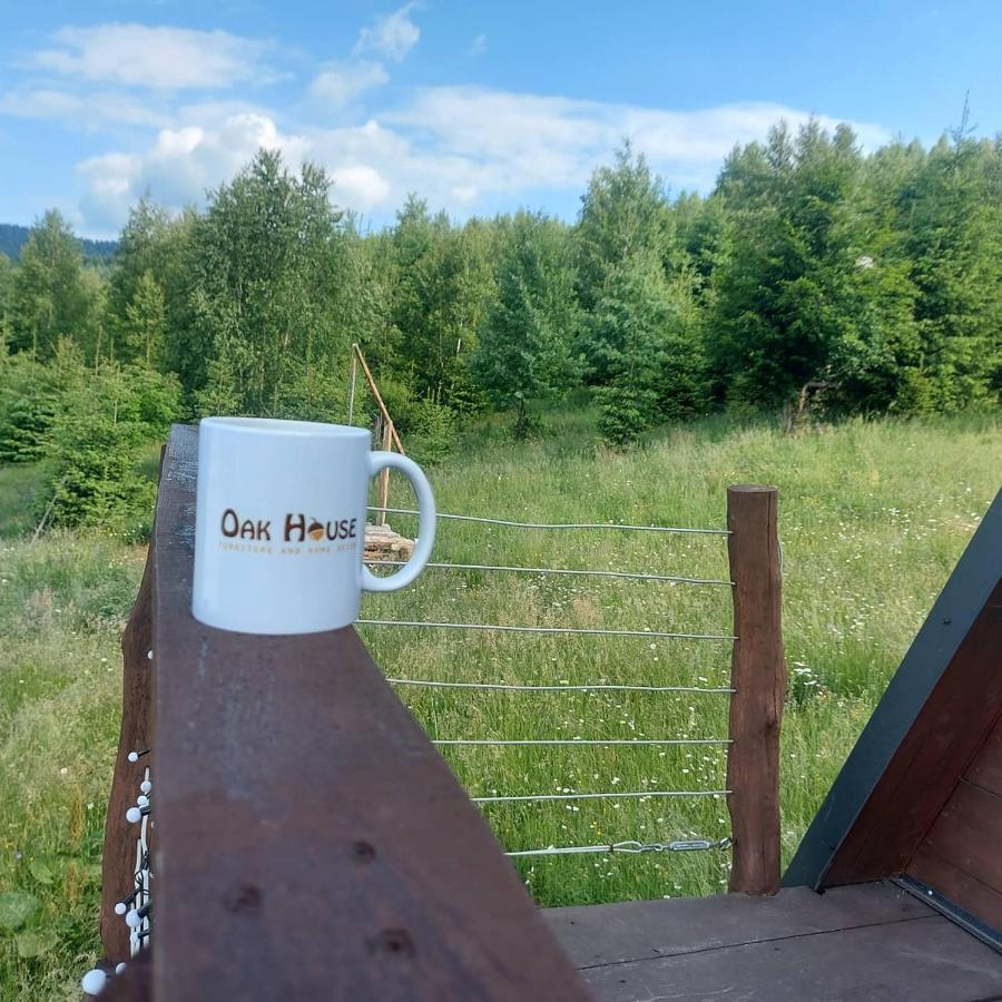 Oak House Daire Palyanytsya Dış mekan fotoğraf