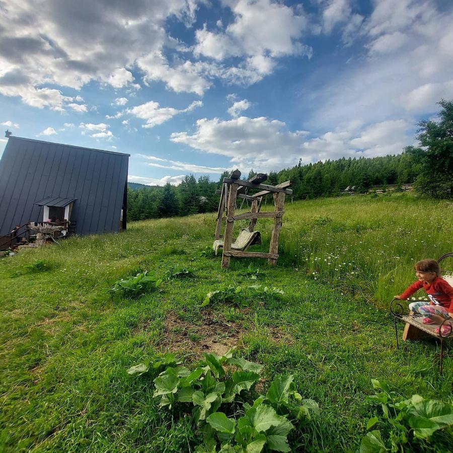 Oak House Daire Palyanytsya Dış mekan fotoğraf
