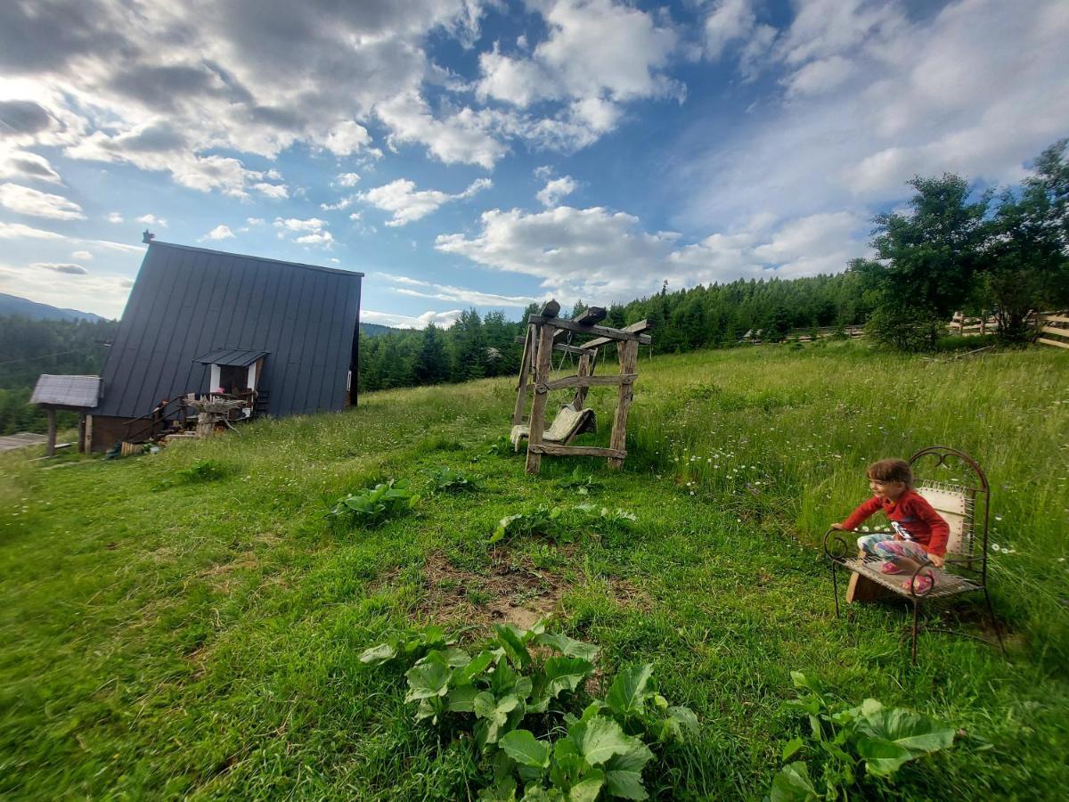 Oak House Daire Palyanytsya Dış mekan fotoğraf