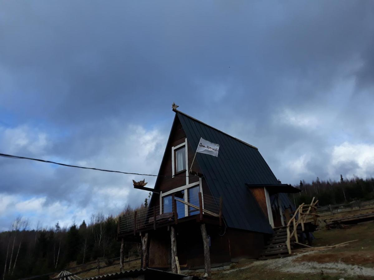 Oak House Daire Palyanytsya Dış mekan fotoğraf