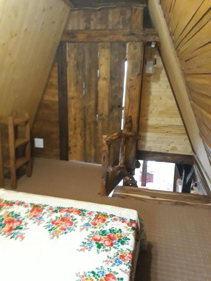 Oak House Daire Palyanytsya Dış mekan fotoğraf