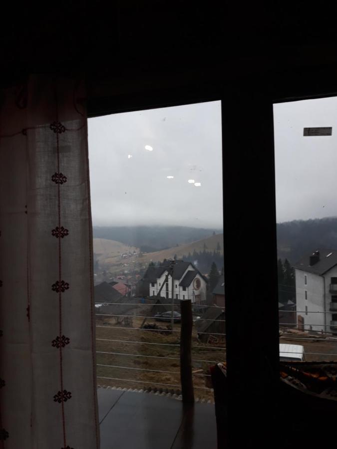 Oak House Daire Palyanytsya Dış mekan fotoğraf
