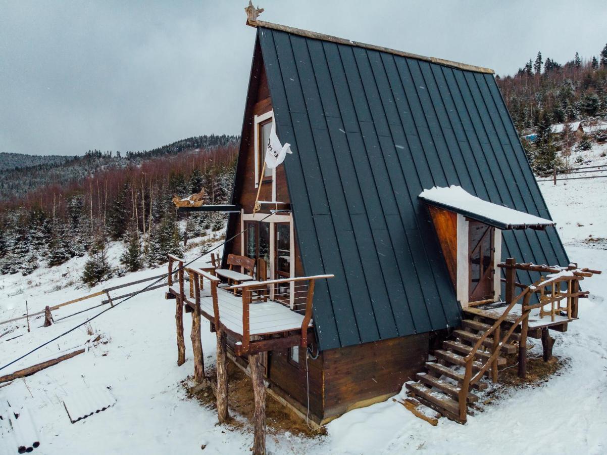 Oak House Daire Palyanytsya Dış mekan fotoğraf