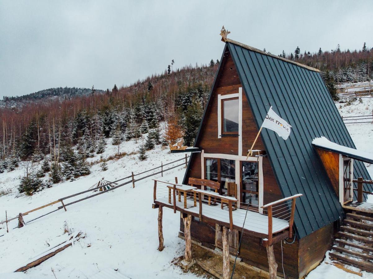 Oak House Daire Palyanytsya Dış mekan fotoğraf