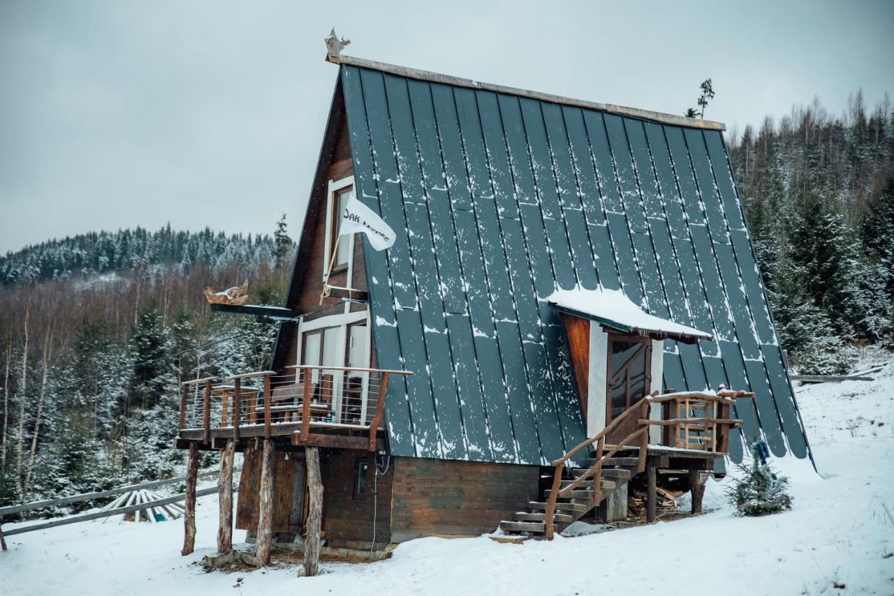 Oak House Daire Palyanytsya Dış mekan fotoğraf