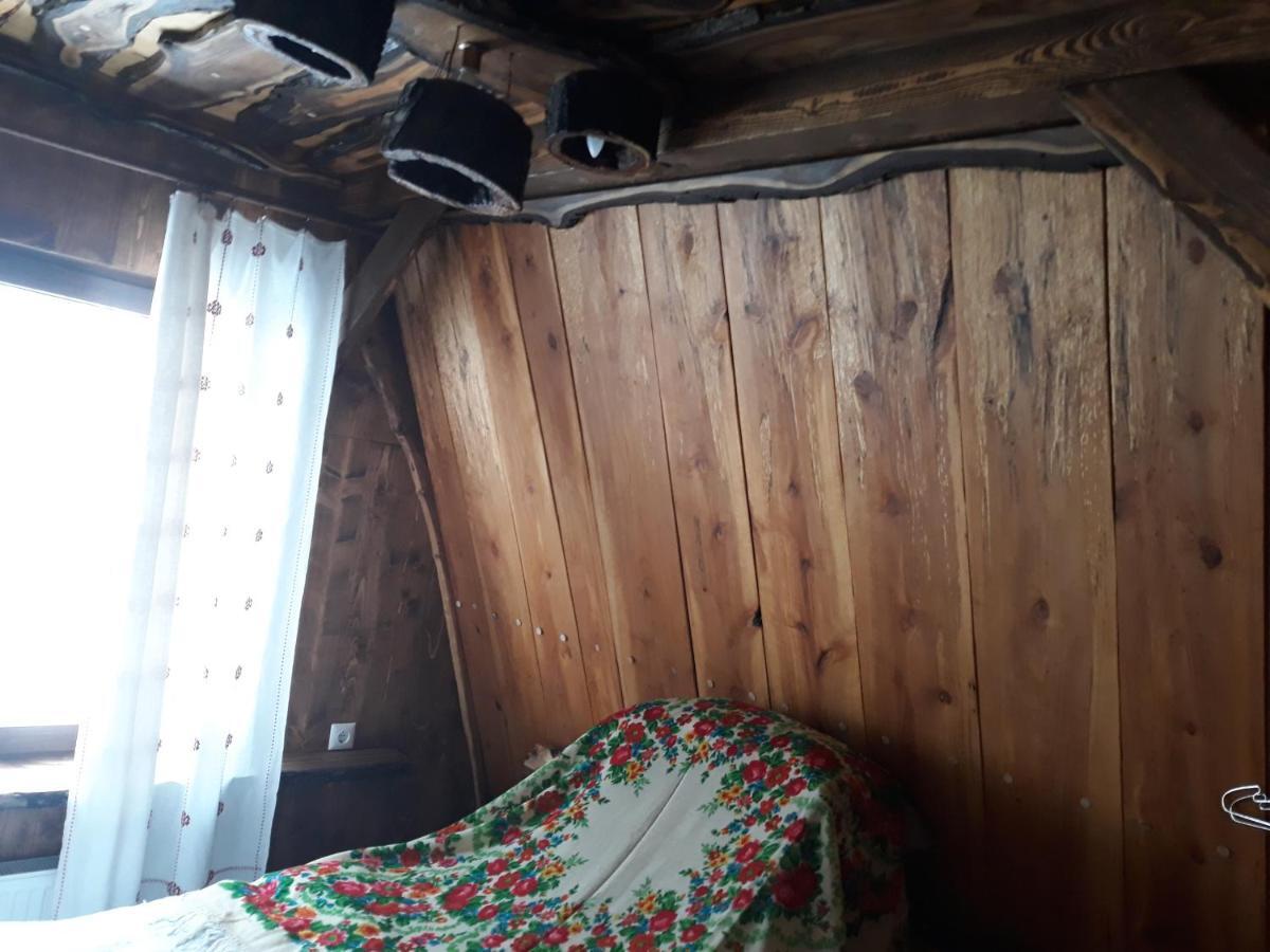 Oak House Daire Palyanytsya Dış mekan fotoğraf